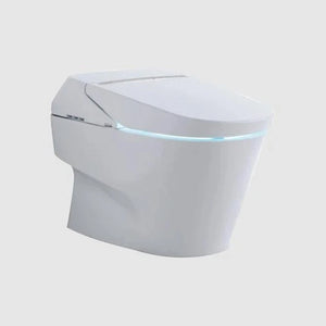 Toto Neorest 750H Dual Flush Toilet